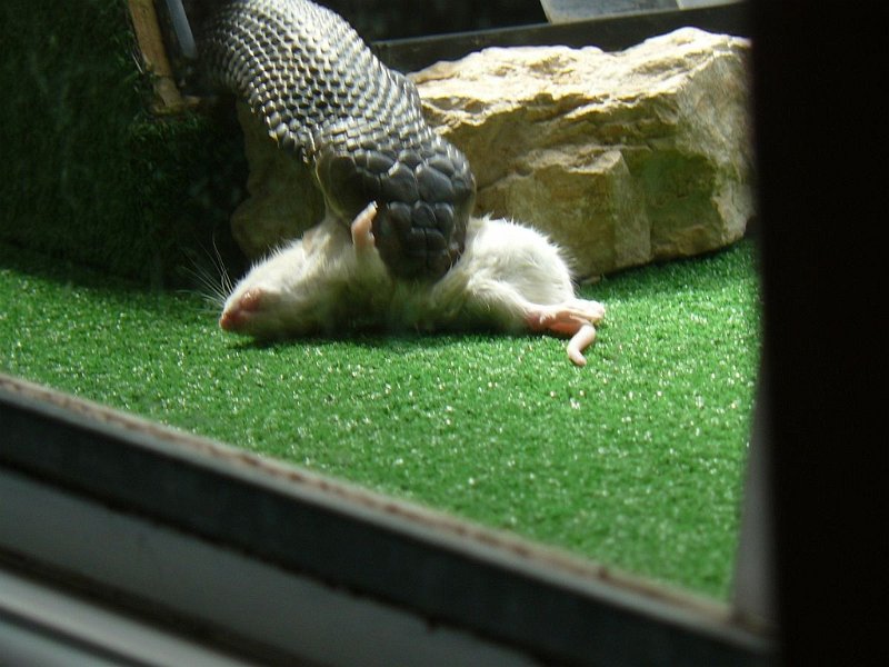 2008 05 Séjour à Martel 81